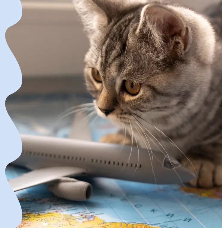 MICROCHIP Y PASAPORTE