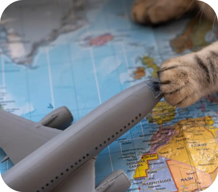 MICROCHIP Y PASAPORTE