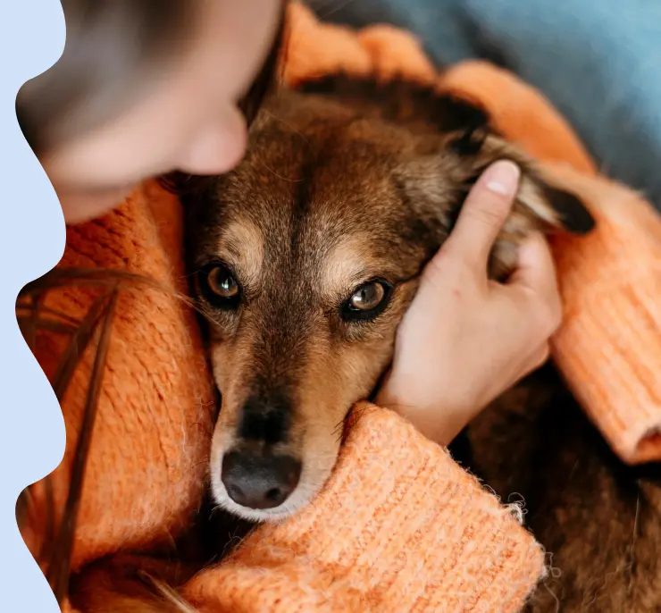 EUTANASIA HUMANITARIA