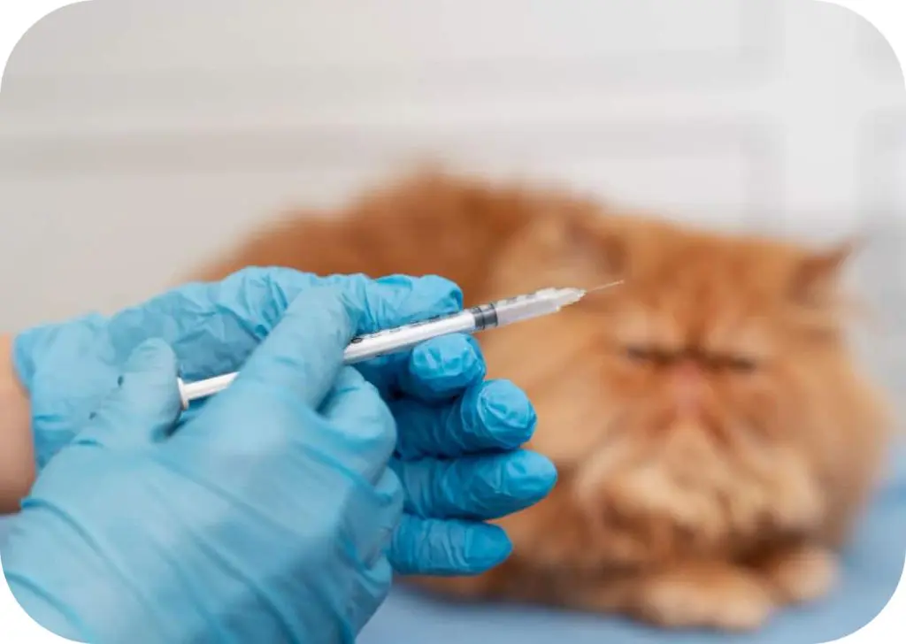 VACUNACIÓN Y DESPARASITACIÓN