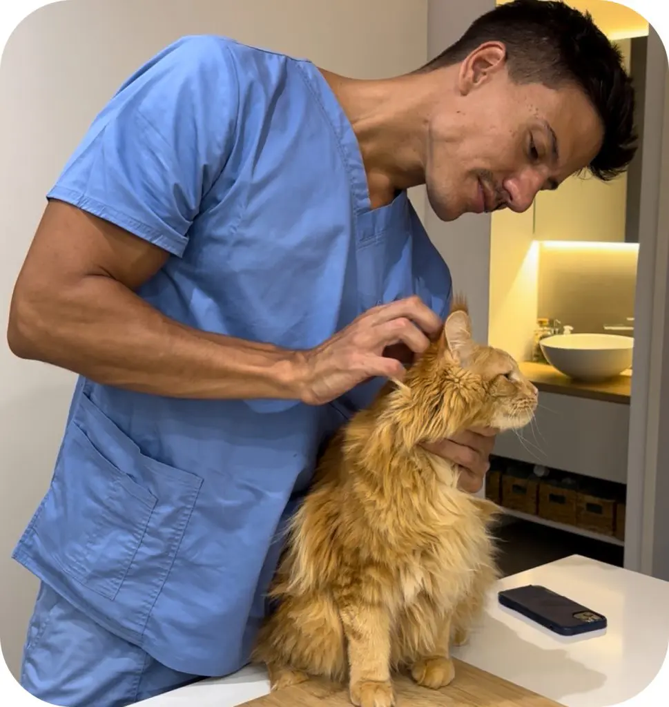 CONSULTAS CLÍNICAS A DOMICILIO